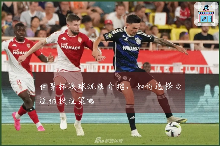 世界杯滚球玩法介绍，如何选择合适的投注策略