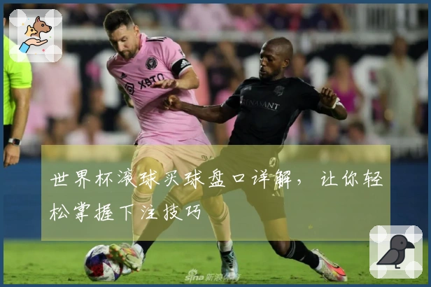 世界杯滚球买球盘口详解，让你轻松掌握下注技巧