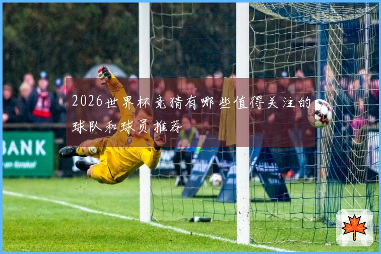 2026世界杯竞猜有哪些值得关注的球队和球员推荐