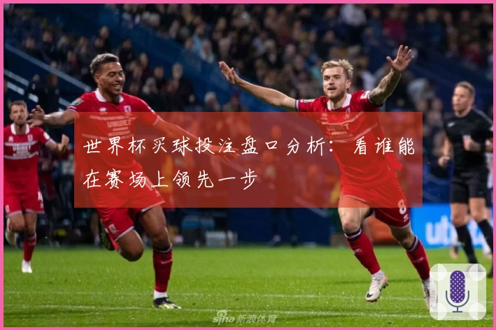 世界杯买球投注盘口分析：看谁能在赛场上领先一步
