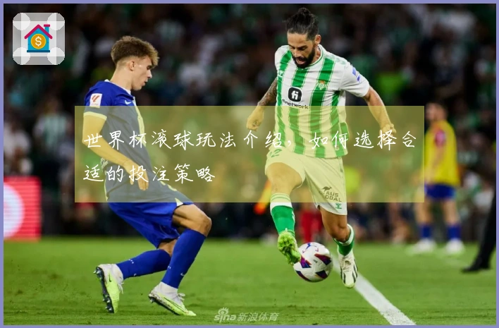 世界杯滚球玩法介绍，如何选择合适的投注策略