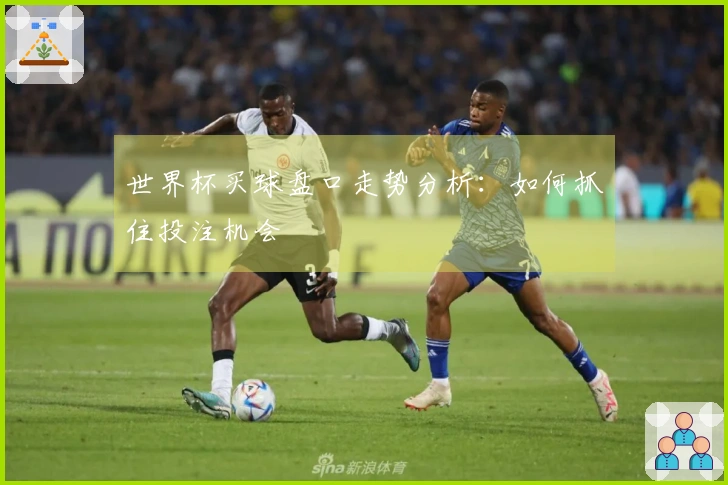 世界杯买球盘口走势分析：如何抓住投注机会