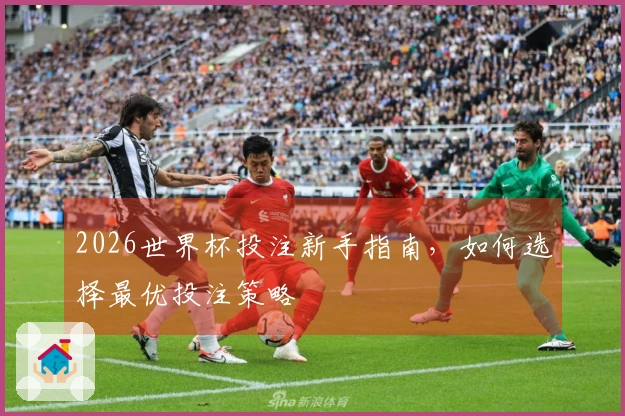 2026世界杯投注新手指南，如何选择最优投注策略