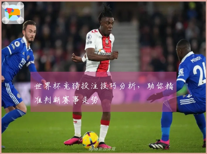世界杯竞猜投注技巧分析，助你精准判断赛事走势