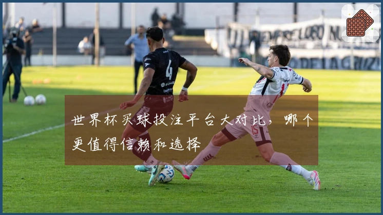 世界杯买球投注平台大对比，哪个更值得信赖和选择