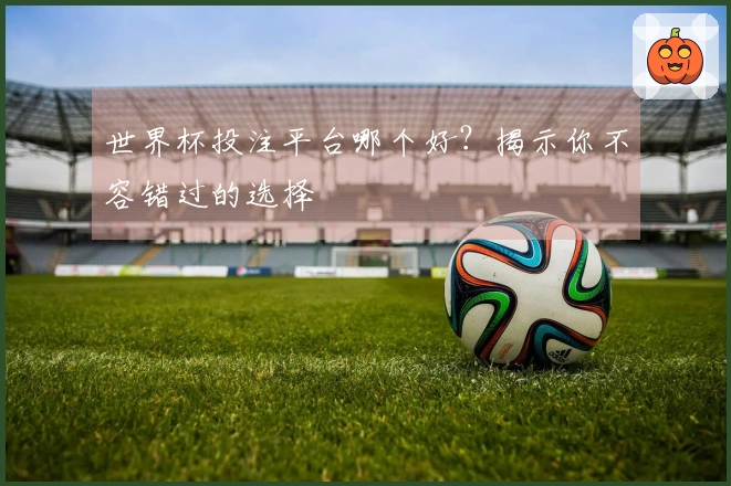 世界杯投注平台哪个好？揭示你不容错过的选择
