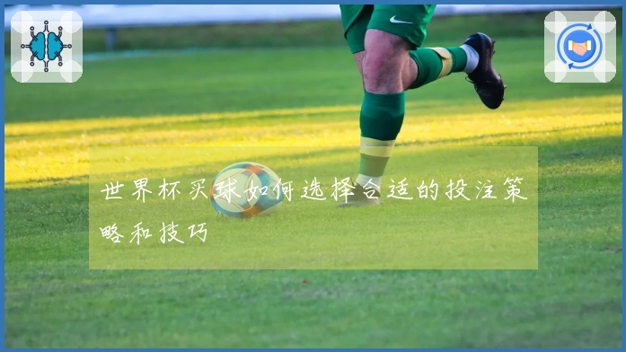 世界杯买球如何选择合适的投注策略和技巧