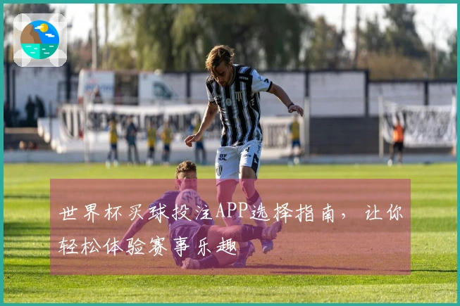世界杯买球投注APP选择指南，让你轻松体验赛事乐趣