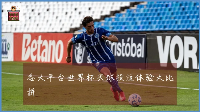 各大平台世界杯买球投注体验大比拼