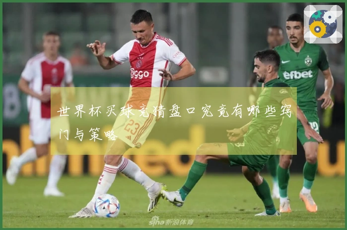 世界杯买球竞猜盘口究竟有哪些窍门与策略