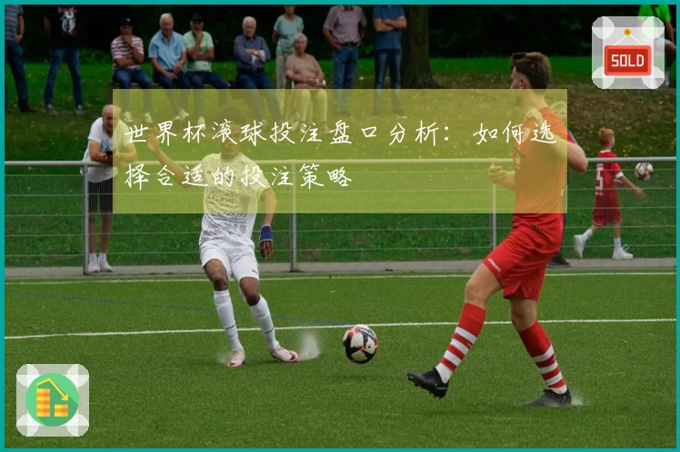 世界杯滚球投注盘口分析：如何选择合适的投注策略