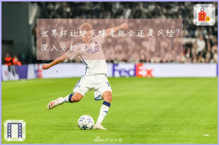 世界杯让球买球是机会还是风险？深入分析分享