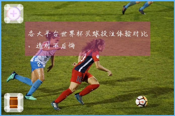 各大平台世界杯买球投注体验对比,选对不后悔