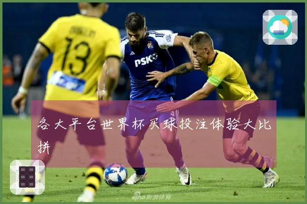 各大平台世界杯买球投注体验大比拼