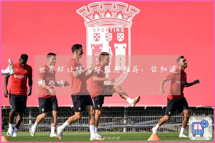 世界杯让球买球应用推荐，你知道哪些吗