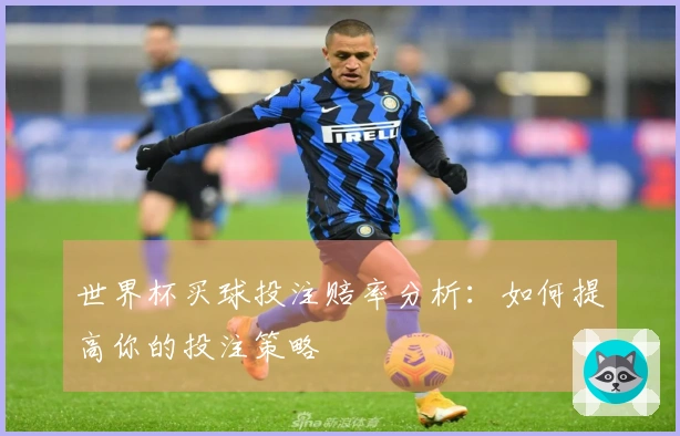 世界杯买球投注赔率分析：如何提高你的投注策略