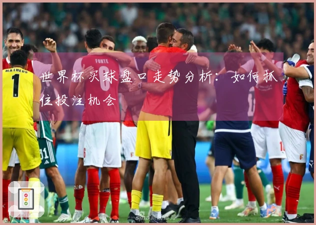 世界杯买球盘口走势分析：如何抓住投注机会