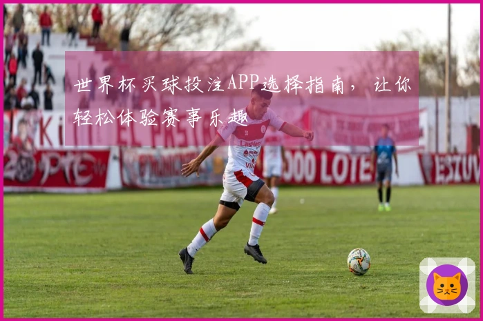 世界杯买球投注APP选择指南，让你轻松体验赛事乐趣